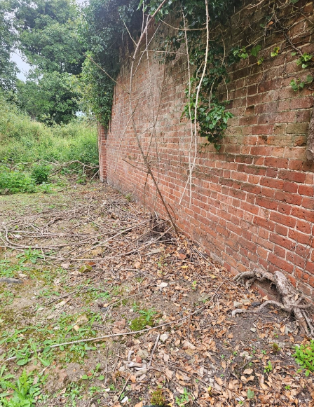 Same area fully cleared after treatment
